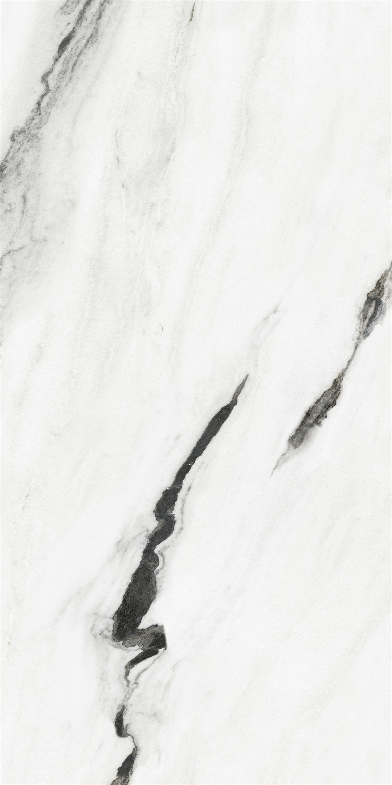 T18951 阿尔卑斯白