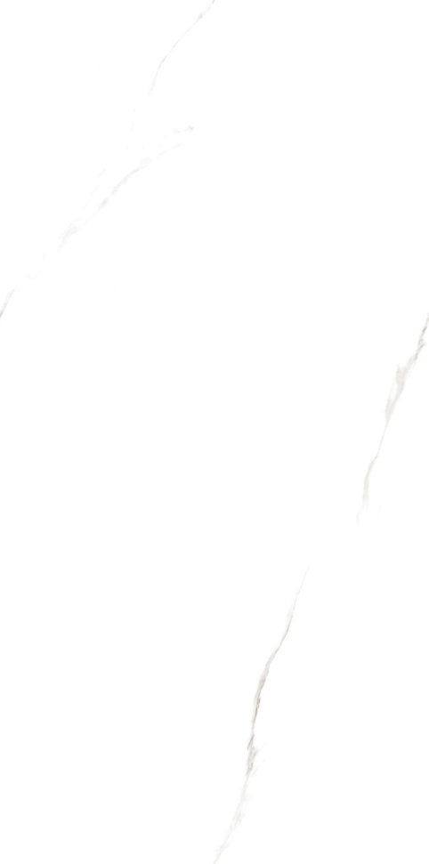 T18951 阿尔卑斯白