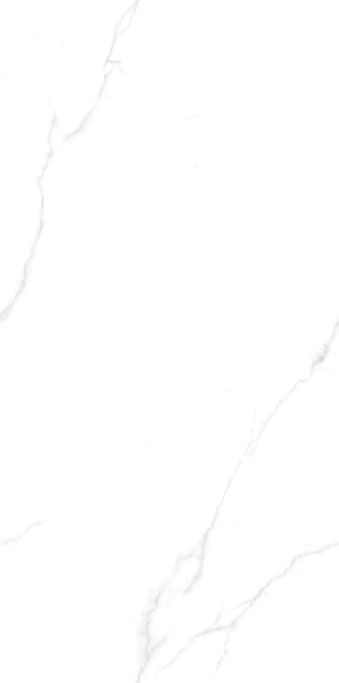 T18951 阿尔卑斯白